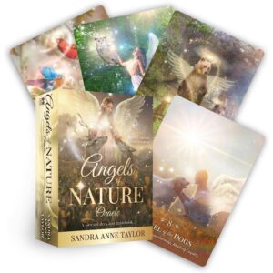 Angels of Nature Oracle box