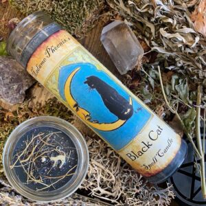 Black Cat 7 Day Candle dressed in herbs and crystals