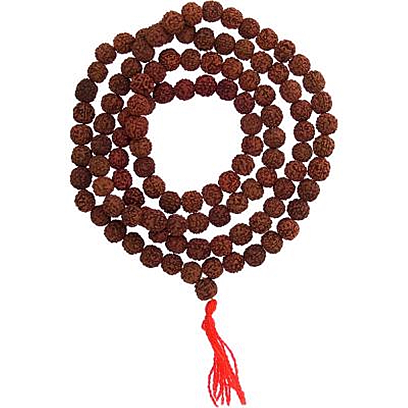 Rudraksha Seeds Mala Rudraksha Seeds Mala Image