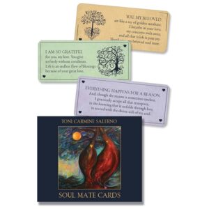 Soul Mate Cards New Edition box