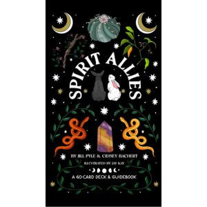 Spirit Allies Oracle Box