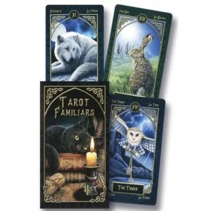 Tarot Familiars Box and Cards