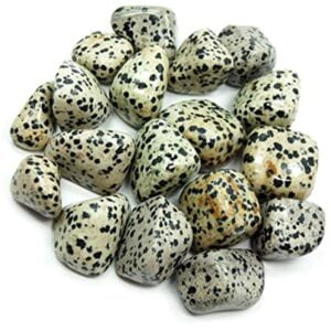 Pile of Tumbled Dalmation Jasper stones