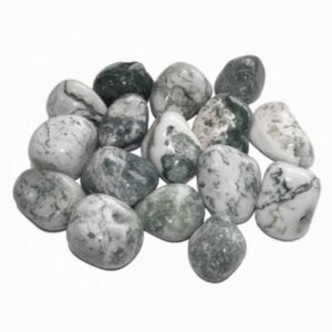 Pile of Tumbled Dendrite Agate stones