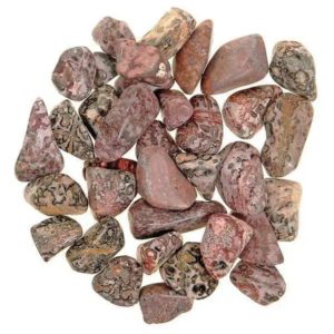 Pile of Tumbled Leopard Skin Jasper stones