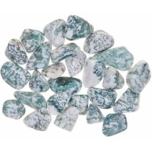 Pile of Tumbled Tree Agate stones