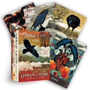 Urban Crow Oracle Box
