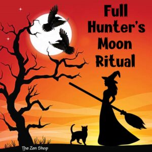 Witch under the full hunter moon with orange and red sky