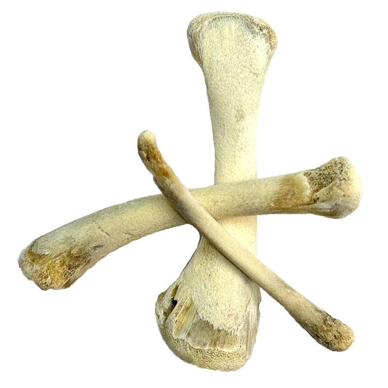 Hoodoo Bones Hoodoo bones set of 3