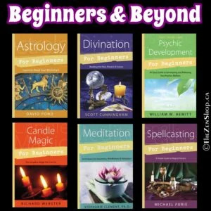 Spiritual Beginner and Beyond Books