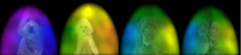 dogs pictures showing colourful auras around them in sample aura photography pics at The |Zen Shop